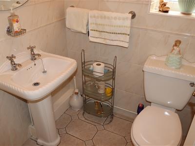 Picture 8